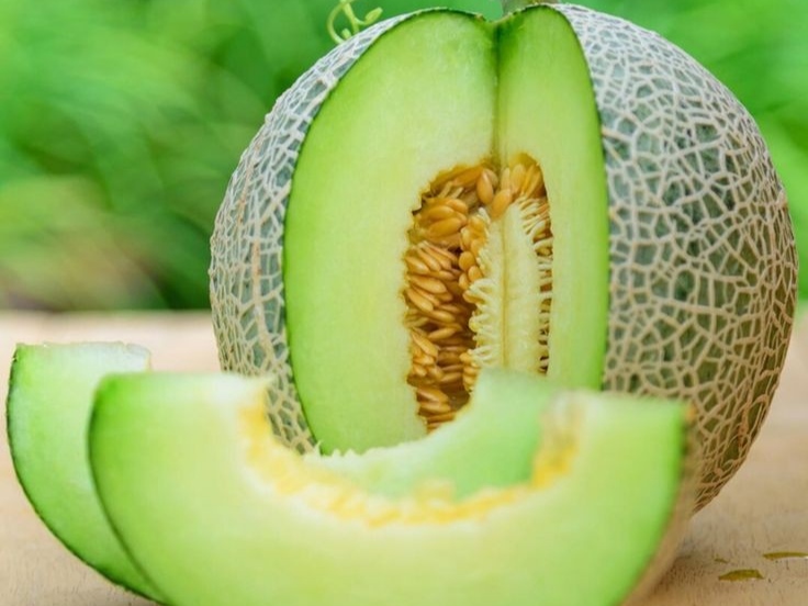 गर्मियों में खरबूजे (Melon seeds) के बीज खाने से शरीर पर पड़ेगा ऐसा असर, जानें यहां