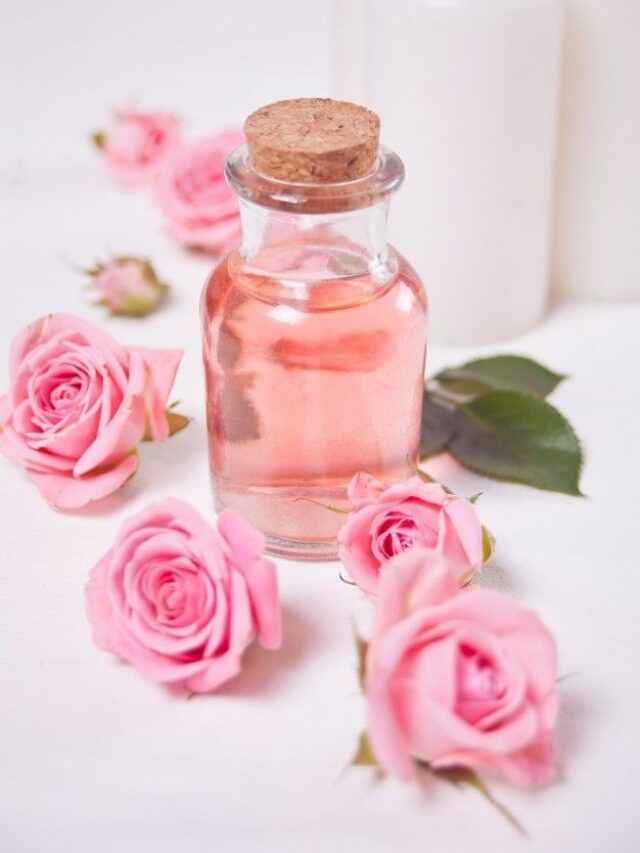 make pure rose water at home