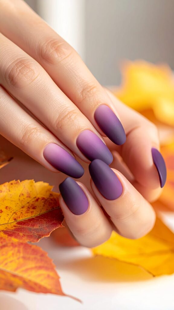 Matte Purple Ombré